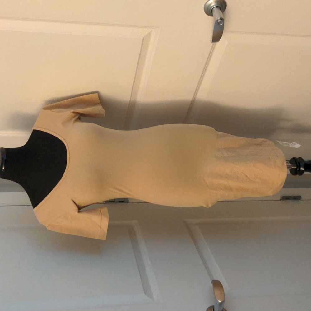 American Apparel bodycon jersey dress